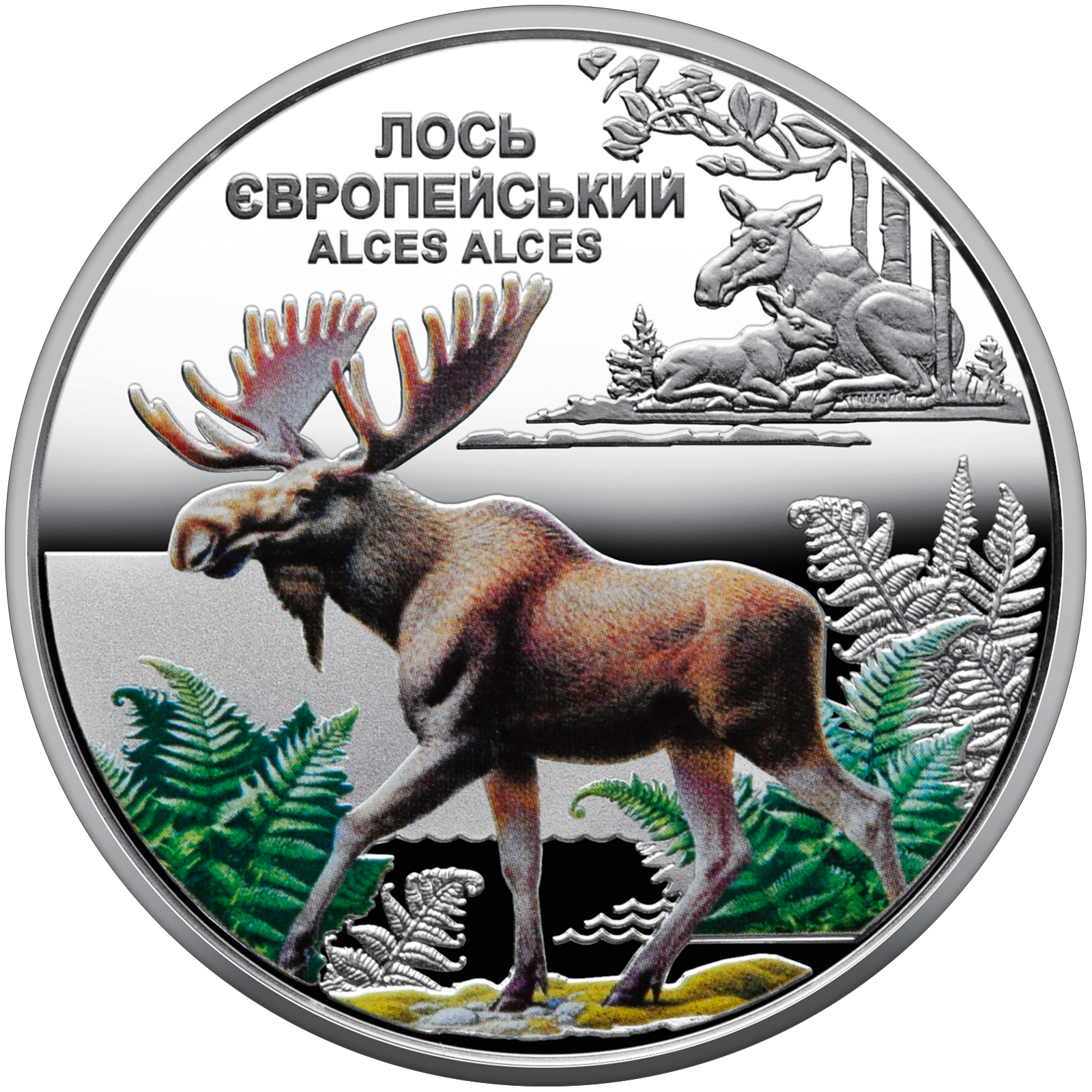 Чорнобиль. Відродження. Лось європейський (н)