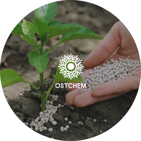 «OSTCHEM»